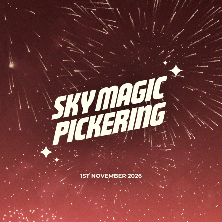 Pickering Firework Spectacular
